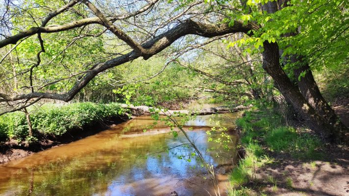 Akkordeon-Sommer-Workshop