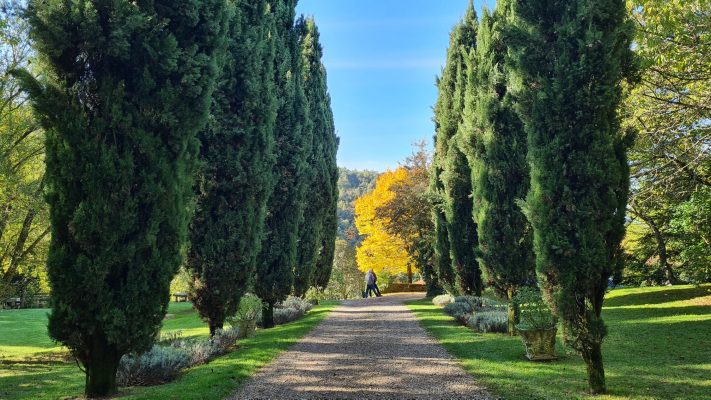 Sommer-Akkordeon-Workshop 2026