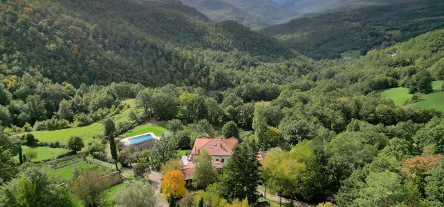 Akkordeonmagazin Akkordeonmagazin